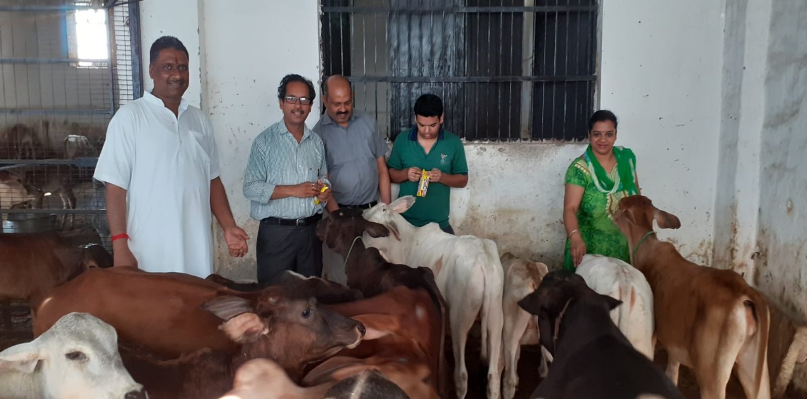 Gau Seva