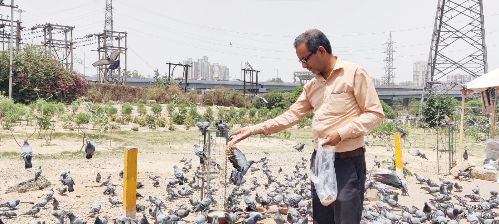 Tree Plantation Drive